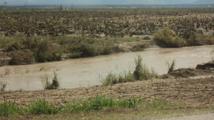 Floods and high winds destroyed everything that grew above ground.