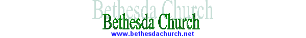 Logo.jpg (16689 bytes)